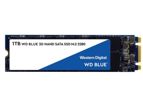 WD Blue SA510 WDS100T3B0B
